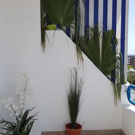 Paraiso Del Sur